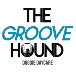 THE GROOVE HOUND